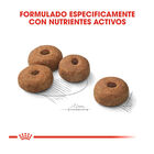 Royal Canin Maxi Sterilised ração para cães, , large image number null